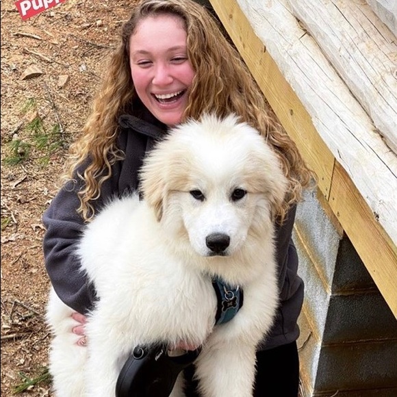 Profile Picture of Lindsay Chabak (@l_chabak) on Poshmark