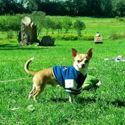 Profile Picture of Jake New (@jakenew3346) on Youtube