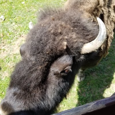 Profile Picture of Robert Feierabend (@RobertFeierabe3) on Twitter