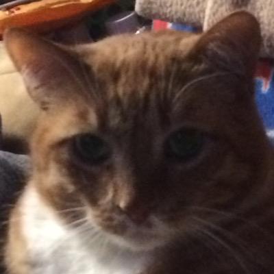 Profile Picture of Ellen Bopp (@tim6869) on Twitter