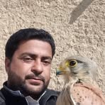 Profile Picture of Khair Bakhsh Mengal (@Khair-Bakhsh-Mengal) on Facebook