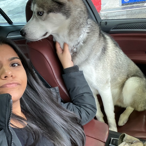 Profile Picture of Marissa Haffizulla (@mhaffizulla) on Poshmark