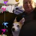 Profile Picture of David Wold (@david.wold.37) on Facebook