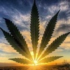 Profile Picture of Chad smart (@@chadsmart420) on Tiktok