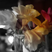 Profile Picture of Candy Campos (@caandy90) on Youtube