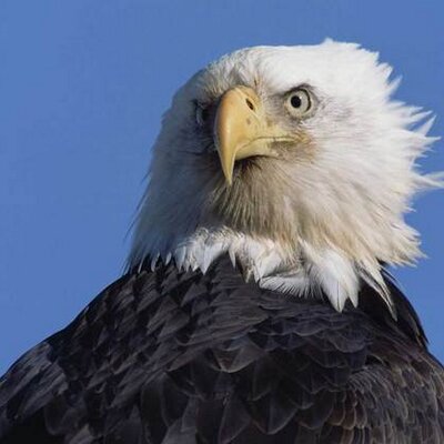 Profile Picture of Evan Bateman (@evanbateman) on Twitter