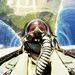 Profile Picture of Peter van der Willige von Freiburg (@avcongroup) on Pinterest