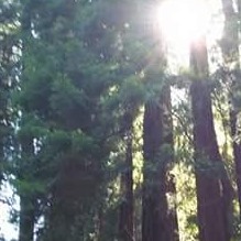 Profile Picture of Kyle Manseau (@kyle.manseau) on Facebook