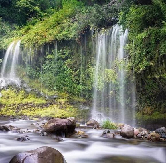 Profile Picture of Maria Cardona (@mcardona159) on Poshmark