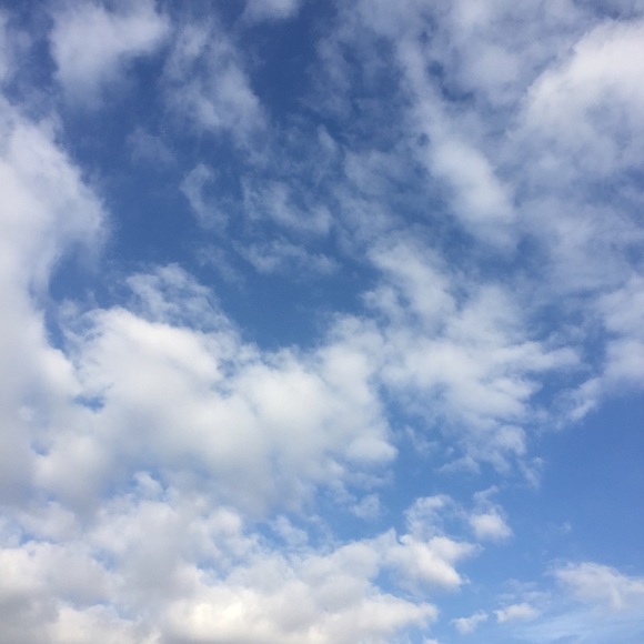 Profile Picture of Baylee Jackson (@bayleeanne18) on Poshmark