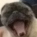 Profile Picture of Kenneth Wolff (@upforlogicthere) on Instagram