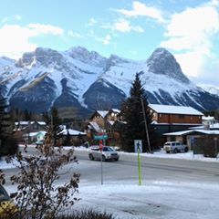 Profile Picture of Jeff Harford (@jeffharford) on Tiktok