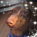 Profile Picture of Stacey Higgins (@stacey.higgins.7334) on Facebook