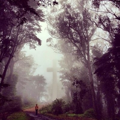 Profile Picture of Shelley Rowland (@RowlandShelley) on Twitter