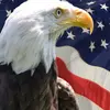 Profile Picture of David Creed (@daveycreed) on Tiktok
