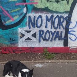 Profile Picture of JOYCE HANNAN (@jhannan67) on Twitter