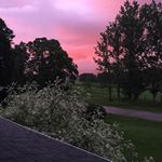 Profile Picture of rjay willey (@rjaywilley) on Instagram