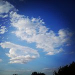Profile Picture of Richard Treece (@borgautheo) on Instagram