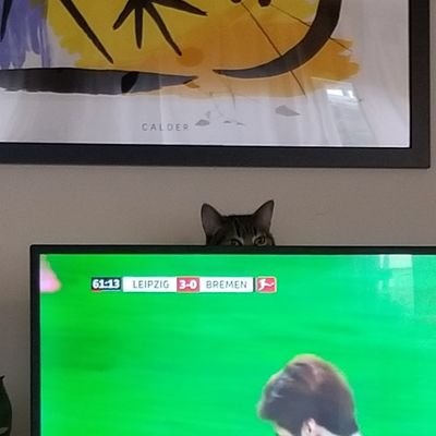 Profile Picture of Matt Remington (@matt_remington) on Twitter