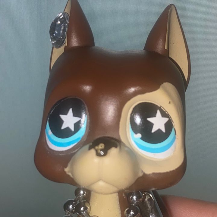 Profile Picture of Aaron Simon (@aaron._simon._) on Tiktok