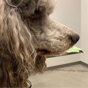 Profile Picture of Lynette M Vesely Waller (@lynettemveselywaller3863) on Youtube