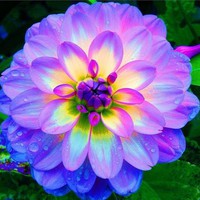 Andrea Montijo - Quora Profile Picture of Andrea Montijo (@andrea-montijo-3) on Quora