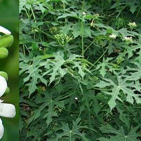 Profile Picture of Colin Dinsmore Albright (@colin.d.albright) on Facebook