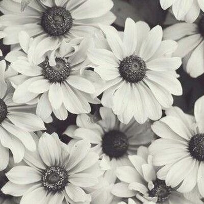 Profile Picture of Bianca Stokeson Twitter