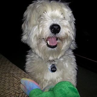 Profile Picture of Carol Danforth (@carol.danforth.14) on Facebook