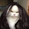 Profile Picture of Corey Thurston (@corey8652) on Pinterest