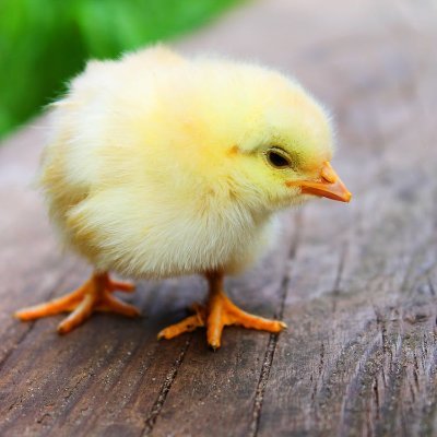 Profile Picture of Benjamin Durfee (@Steve68065707) on Twitter