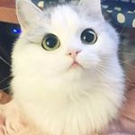 Profile Picture of Daniel cretescu (@daniel_cretescu_cata) on Instagram