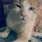 Profile Picture of Gabriella Pedro (@gabriellapedro1579) on Youtube