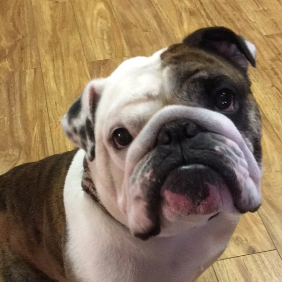 Profile Picture of Tyler Ison (@iceson36) on Poshmark