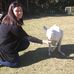 Profile Picture of Tracy Sharkey (@tracy.sharkey.7) on Facebook