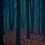 Profile Picture of Clinton Latham (@clinton_latham) on Instagram