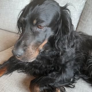 Profile Picture of Erna Jacobsen (@erna.jacobsen) on Instagram