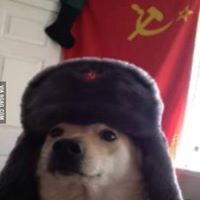 Profile Picture of Sam Stokes (@sam-stokes-15) on Quora