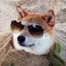 Profile Picture of Jesse Hagan (@hagan3829) on Pinterest