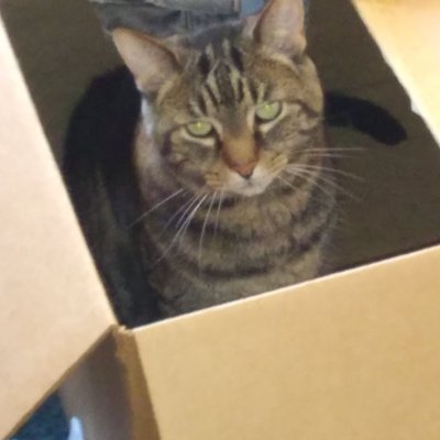 Profile Picture of Jesse Farmer (@JesseFa94489699) on Twitter