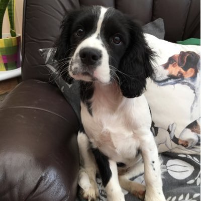Profile Picture of Vicky Burgess (@VickyDaveBurge2) on Twitter
