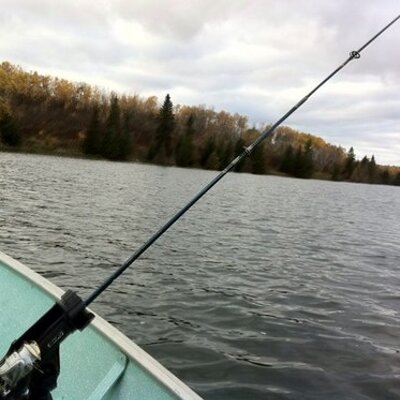 Profile Picture of Kevin Kopp (@stoonchopper) on Twitter
