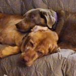 Profile Picture of Bob Hutson (@donnamariemills_) on Instagram