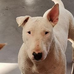 Profile Picture of Andre Greyling (@andre.greyling5) on Tiktok