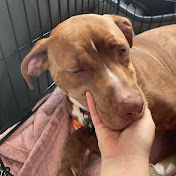 Profile Picture of Miranda Austin (@mirandaaustin525) on Youtube