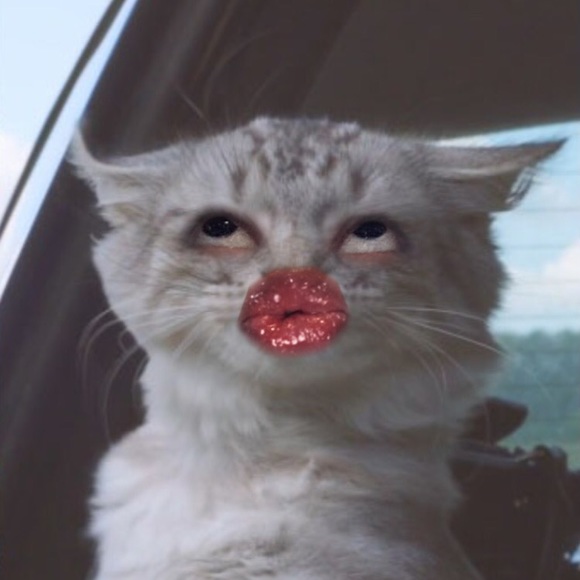 Profile Picture of Nathaly Gonzalez (@nat420247) on Poshmark