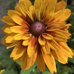 Profile Picture of Joyce Blunt (@joyce.blunt.562) on Facebook