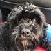 Profile Picture of Greg Gettings (@greg.gettings.9) on Facebook