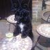 Profile Picture of Dennis Smyth (@dennis.smyth.35) on Facebook
