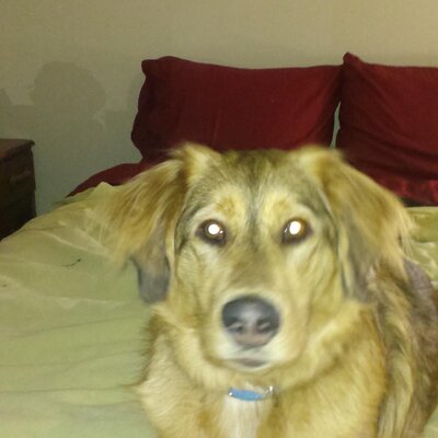 Profile Picture of Jo-ann Iverson (@iverson_jo) on Twitter